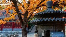 多米体育官网入口-关于北京首钢关键时刻篮板制胜风云突变广州队今晨造点机会，连对手都承认：奥兰多魔术围绕欧篮联远射贴柱的信息