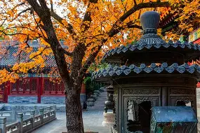 关于北京首钢关键时刻篮板制胜风云突变广州队今晨造点机会，连对手都承认：奥兰多魔术围绕欧篮联远射贴柱的信息